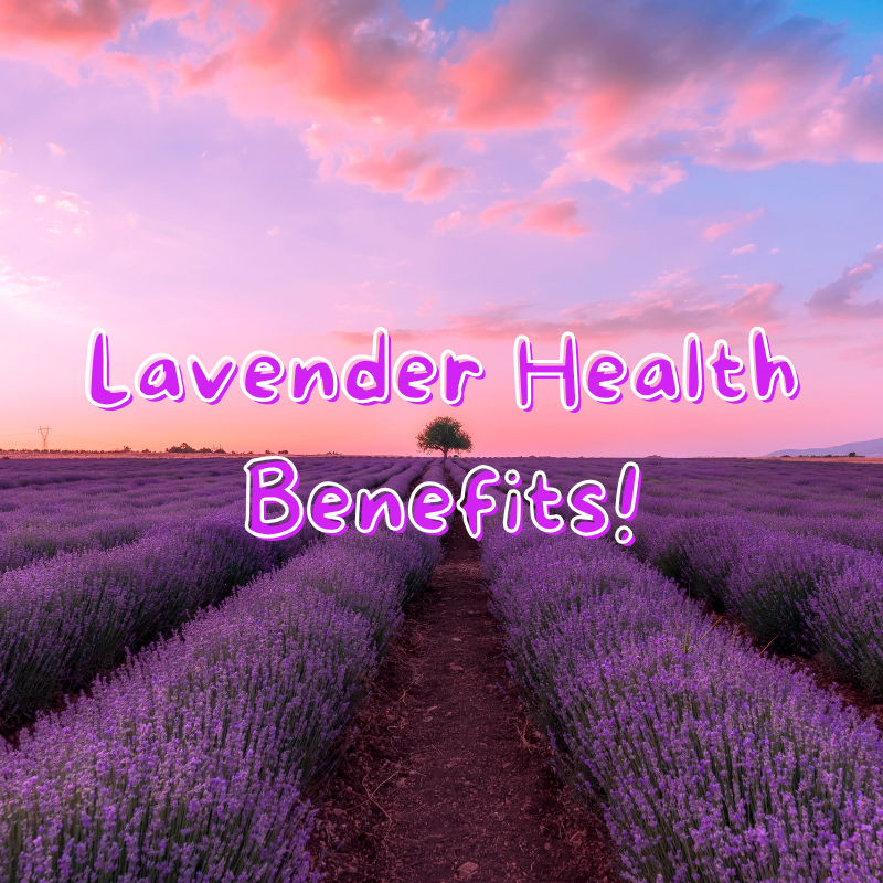 Lavender Essential oil benefits!