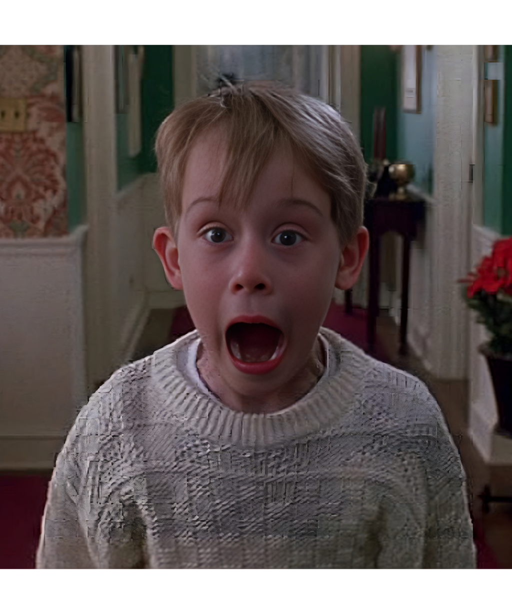 Home Alone Kevin Screaming